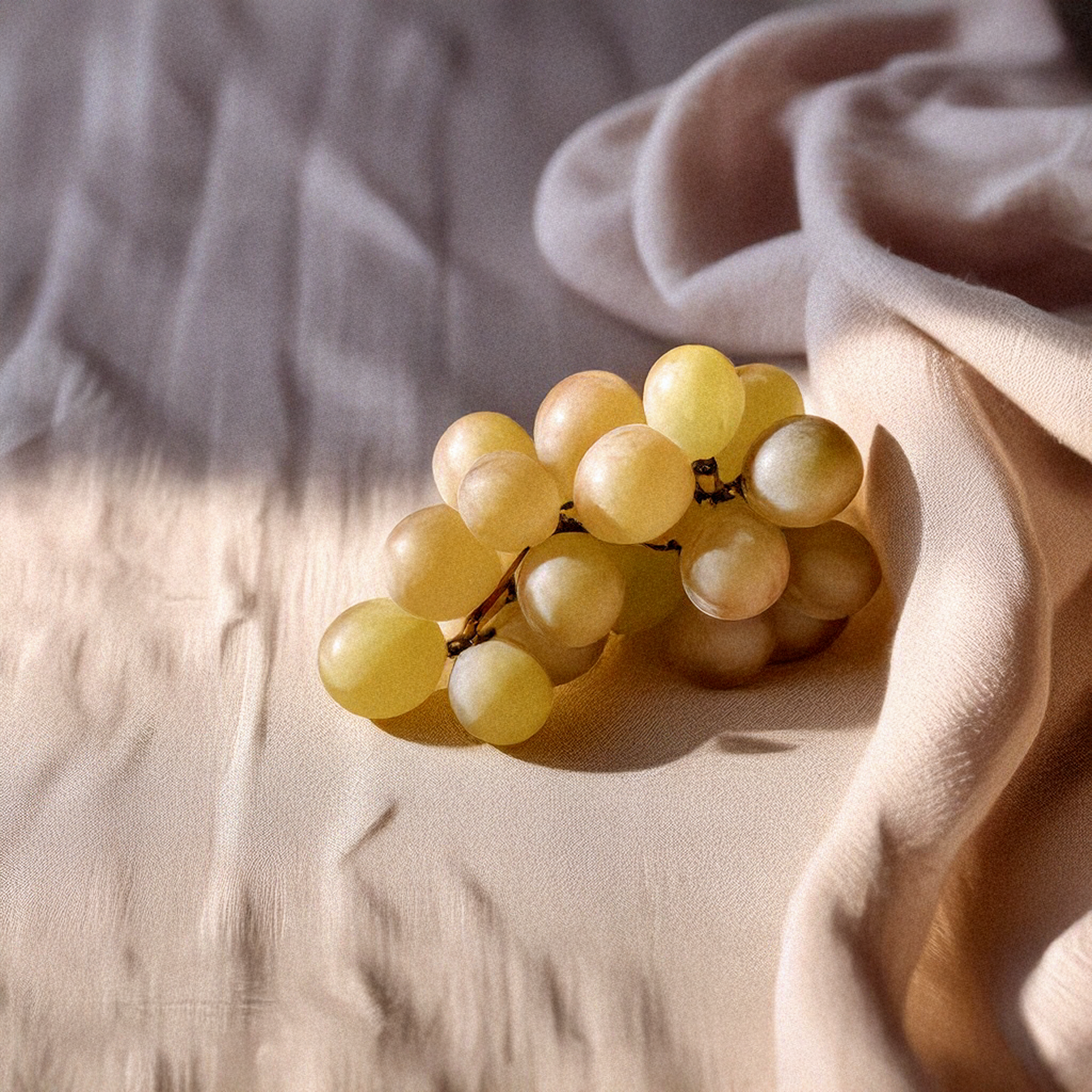 Aceite de Semilla de Uva Ecológico