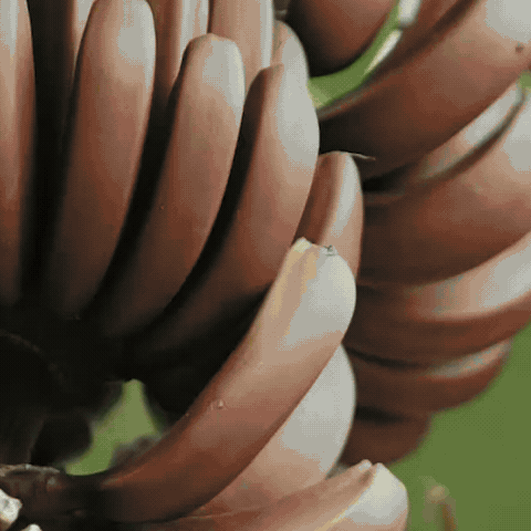 MayBeez: nuestro origen y nuestra forma de trabajar