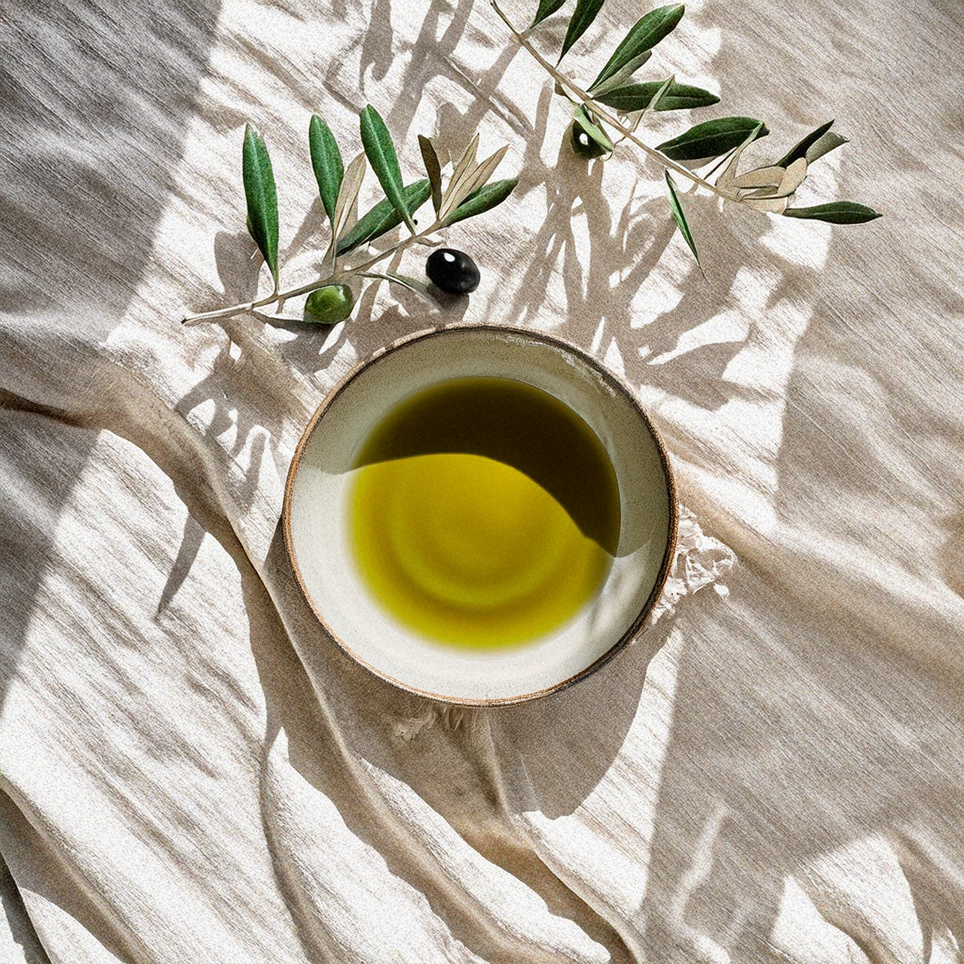 Aceite de Oliva Virgen Extra Ecológico