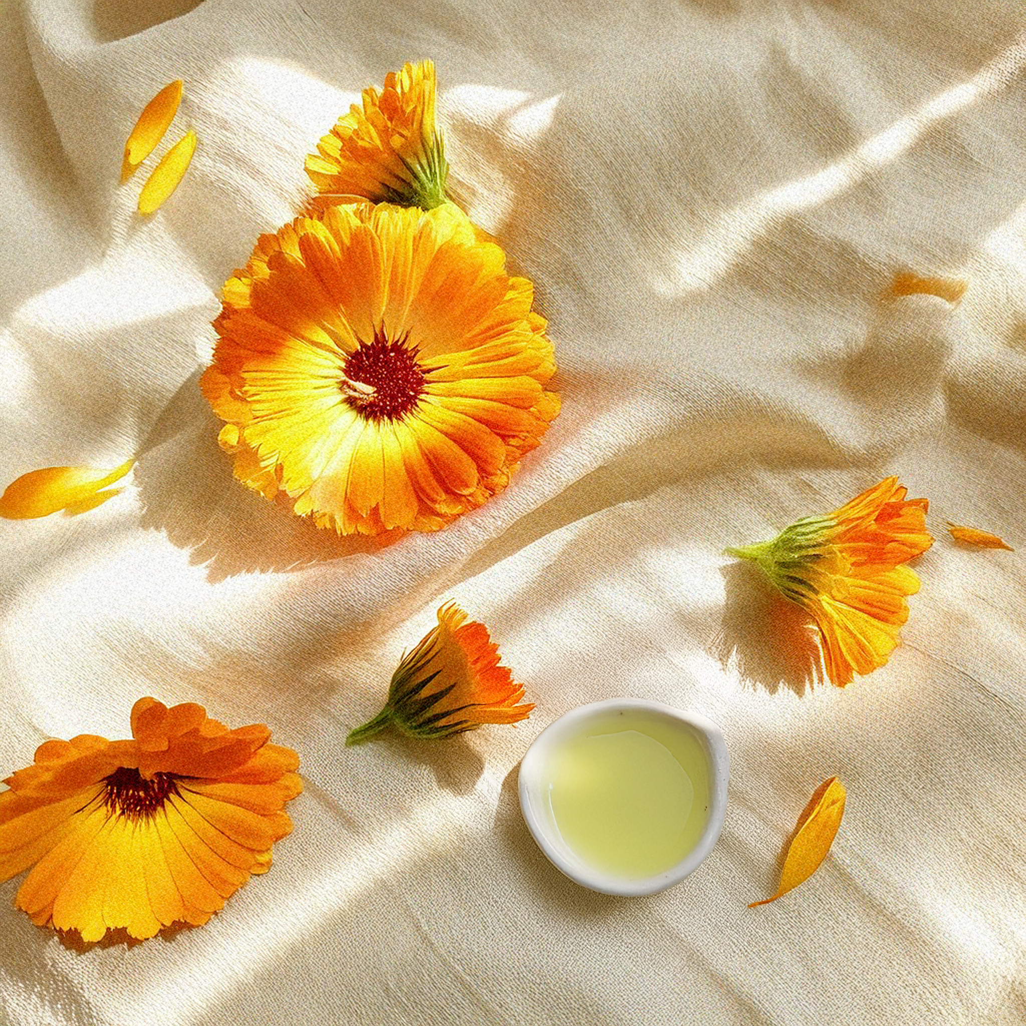 Aceite de flores de Caléndula