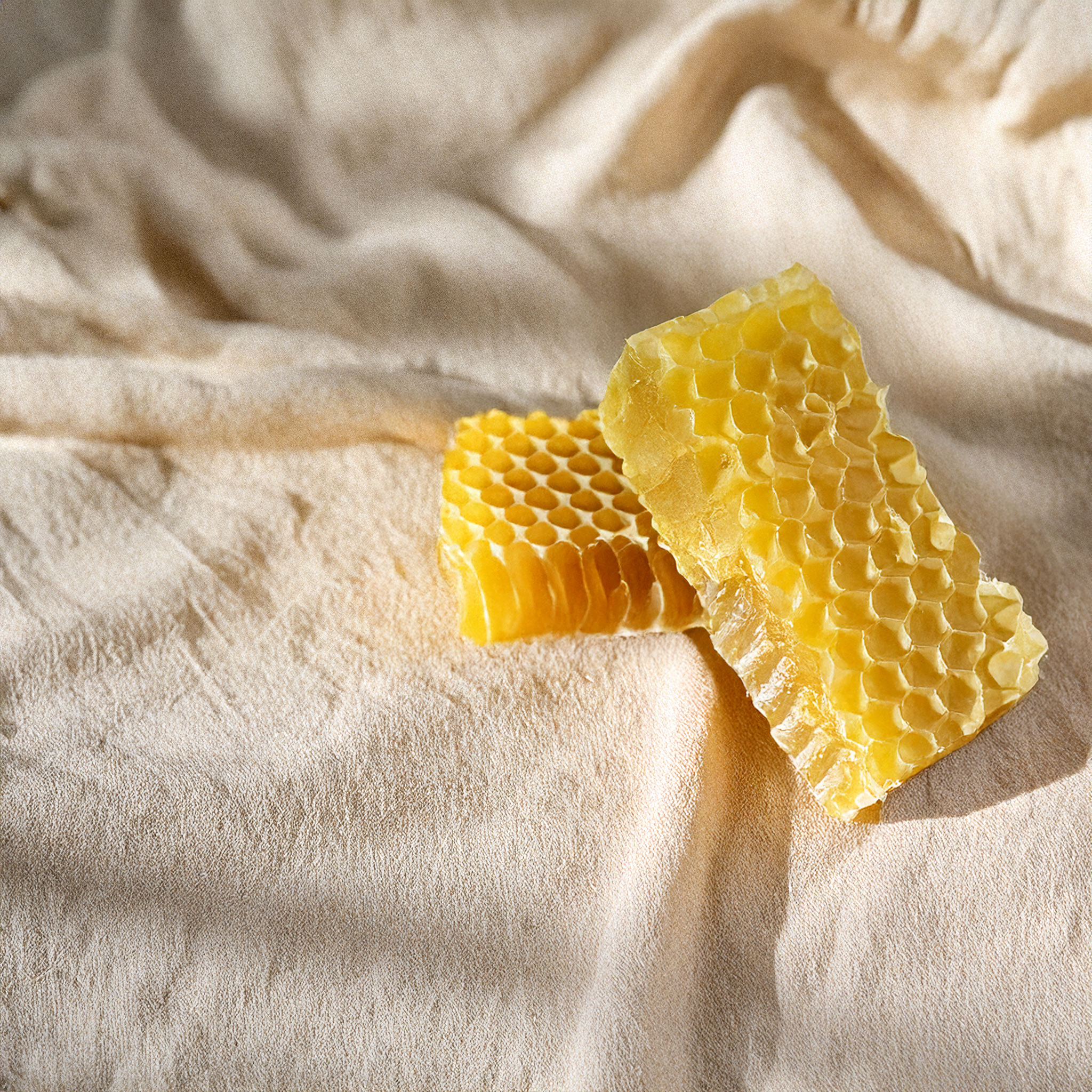 Cera de Abeja Orgánica