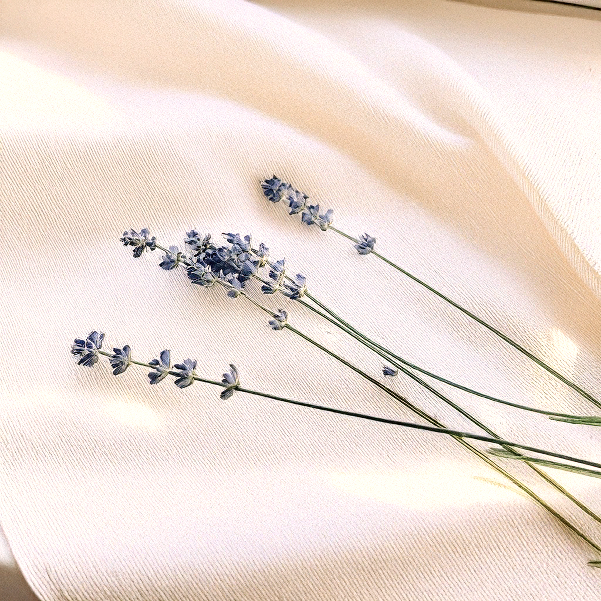 Aceite Esencial de Lavanda Ecológico