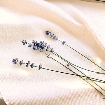 Aceite Esencial de Lavanda Ecológico