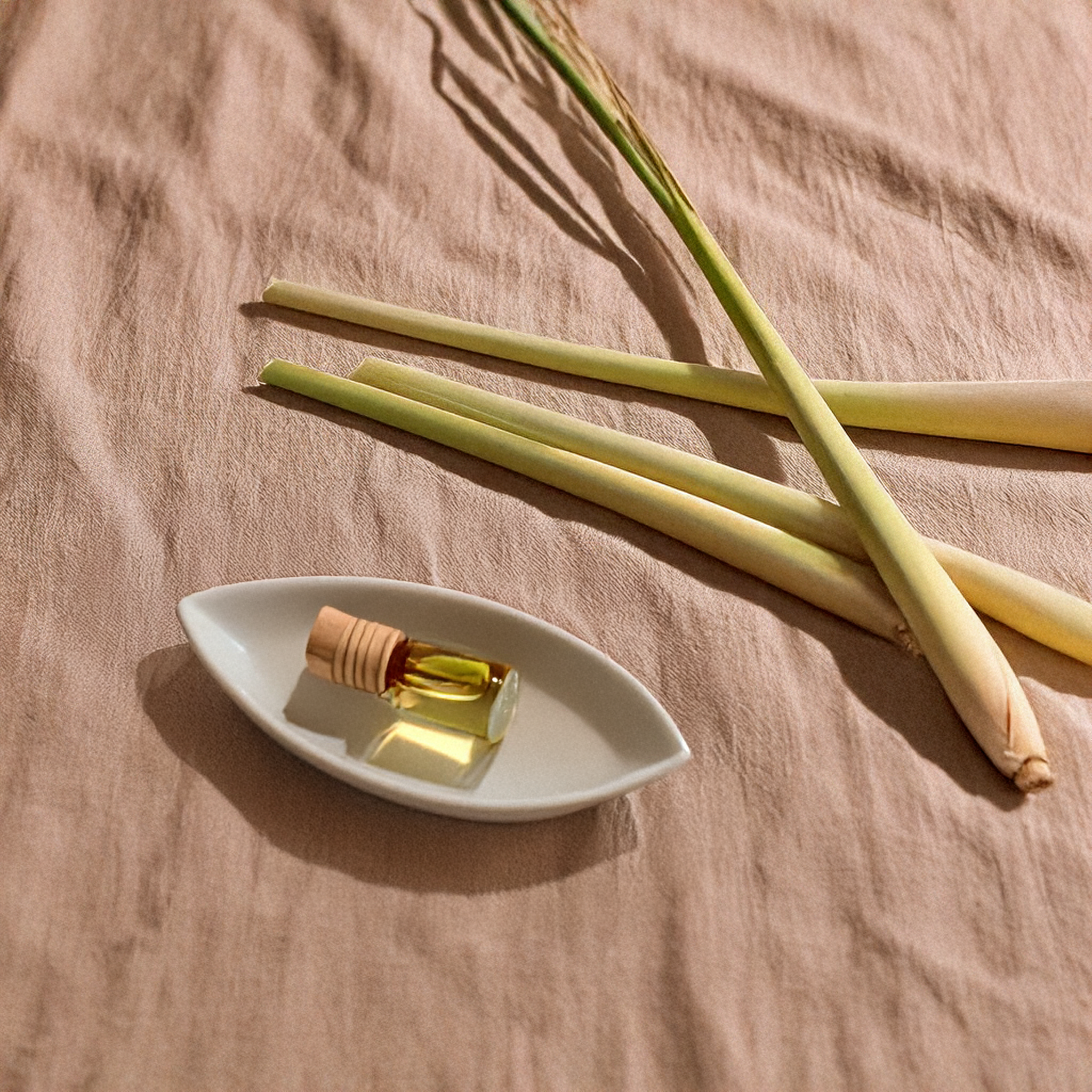 Aceite Esencial de Hierba Limón (Lemongrass)