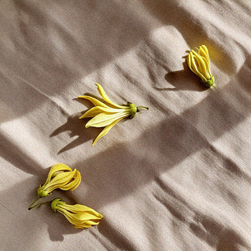 Aceite Esencial de Ylang Ylang Ecológico